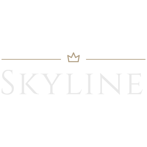 Skyline B2B Shop